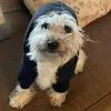 Go to the profile of  KidFuryLFC