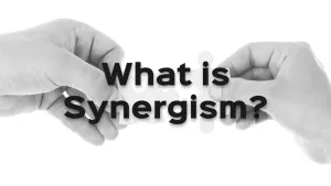 What is Synergism?