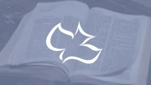 What Is Calvary Chapel? Beliefs, Practices, & History