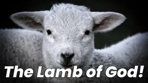 The Lamb of God! From Genesis to Jesus.