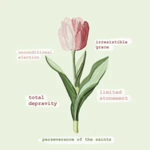 TULIP 5 points of Calvinism reformed theology.webp